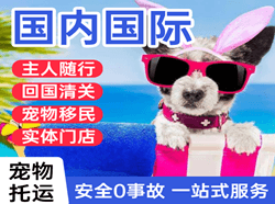 青岛机场快递国际宠物托运 【国